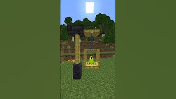 Parrot house in Minecraft #shorts #short #shortsfeed #viralshorts #youtubeshorts #minecraft #gaming