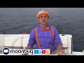 Blippi explores a boat  cars trucks  vehicles cartoon  moonbug kids