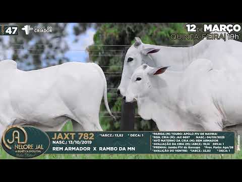 LOTE 47   JAXT 782 e JAX 4975