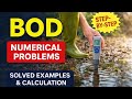 Water Quality Parameters: Numerical Problem Solving for Exams &amp; Practice