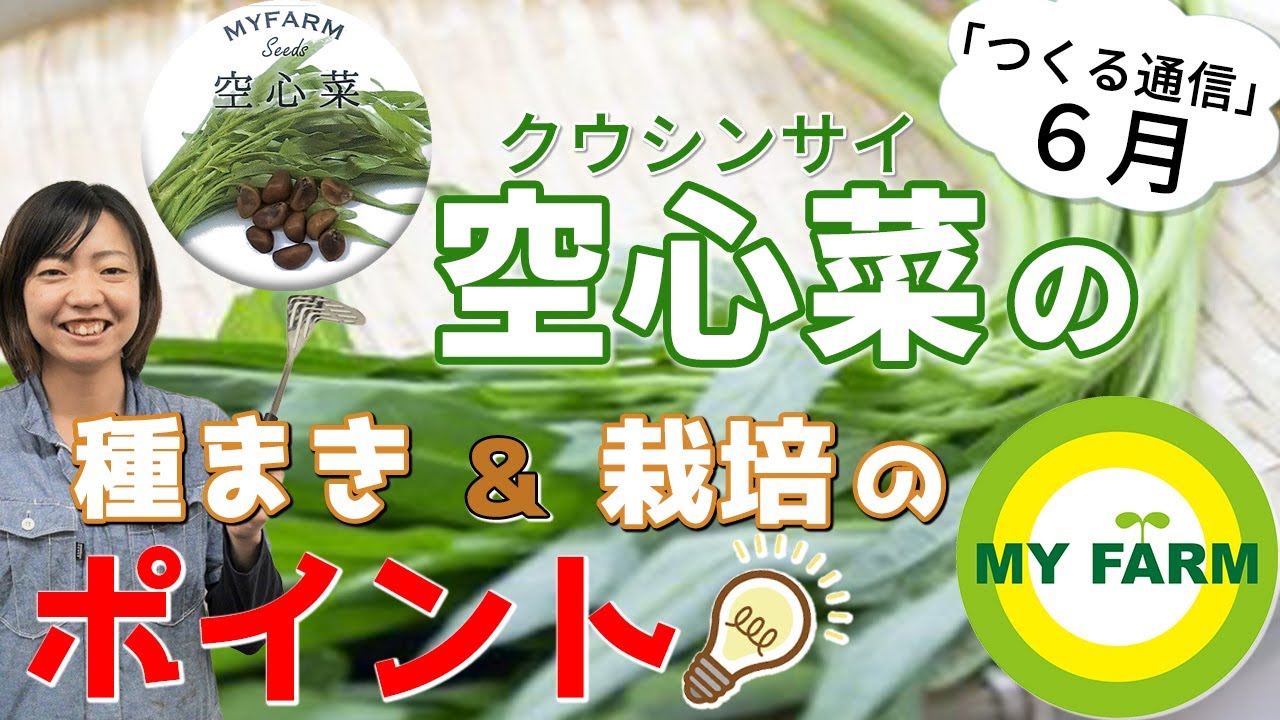 空心菜 エンサイ の育て方を徹底解説 種まきから摘芯のやり方 収穫まで つくる通信6月のタネ Youtube