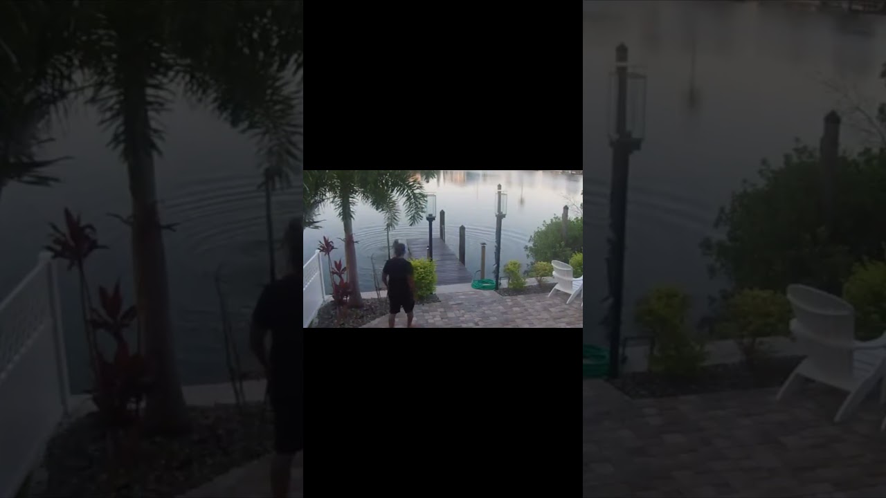 "Nothing to see here" 😂