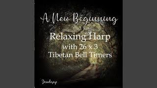A New Beginning