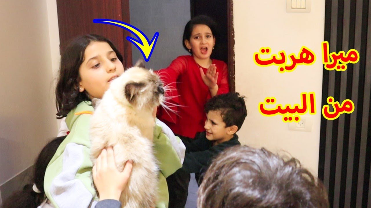 صديقة ميرا فاجأتها بقطة جديدة 😱ما توقعنا ميرا تهرب من البيت !! - YouTube