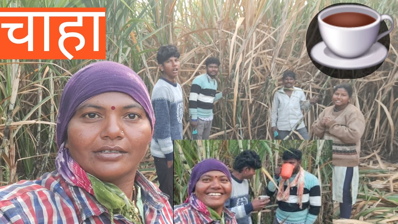 सकाळी पडली थंडी बागायदार आनला चाहा☕️ लेखराची झाली झोप मोड 😱🙉 