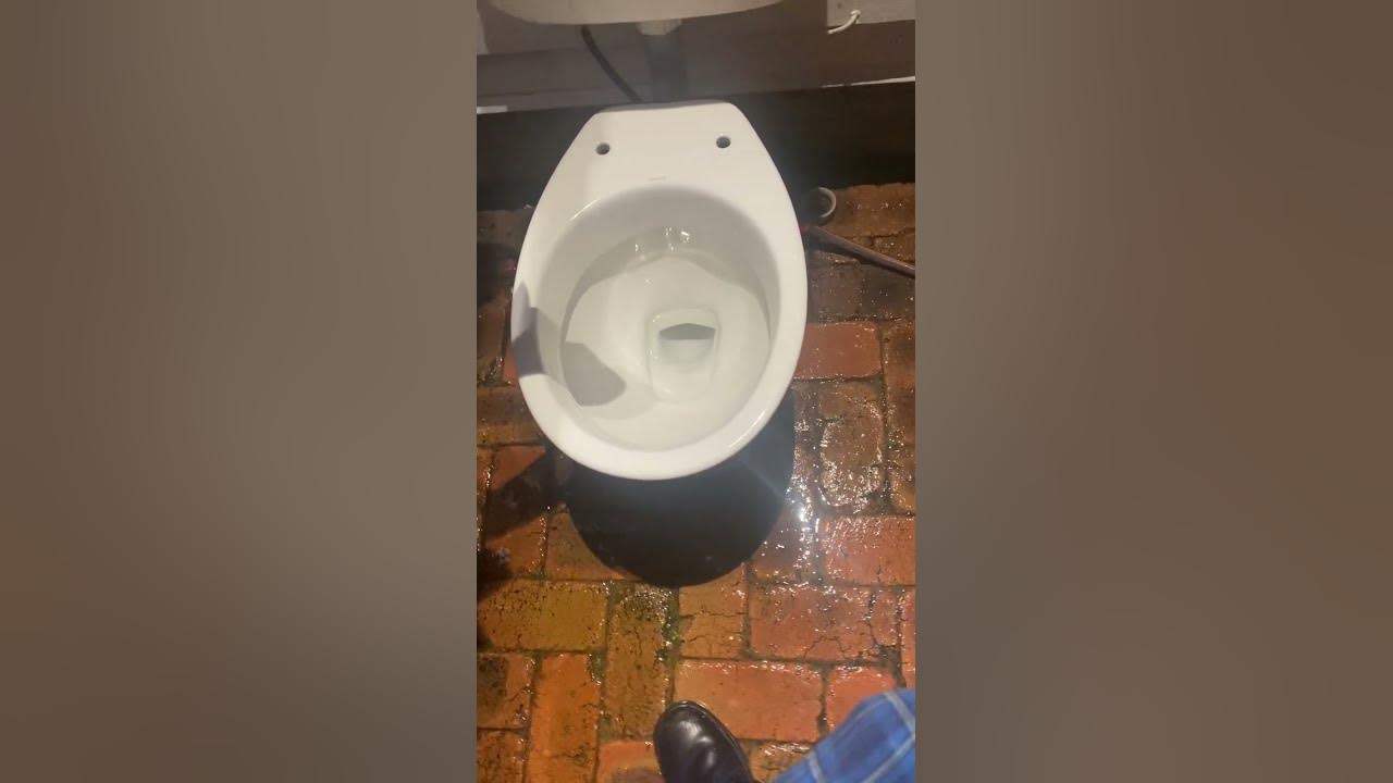 Testing on all my toilets YouTube