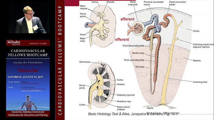 Anatomy and Physiology (William Robinson, MD)