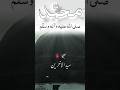 I love Muhammad PBUH #ytshorts #duet #deenemurtad #islamicscholar #deenibaatien