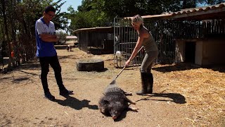 La Spa La Plus Dingue De France