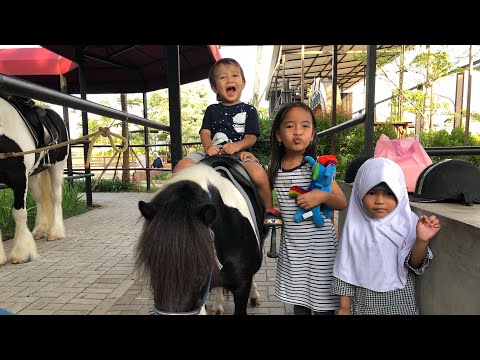 ternyata-begini-rupa-kuda-poni-|-wisata-naik-kuda-di-branchsto-bsd-|-wisata-ala-keluarga-zara-cute