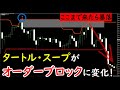 タートル・スープのエントリーポイントが、強力なオーダーブロックに変わる時！