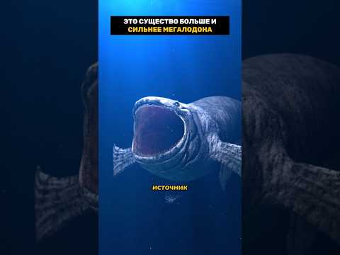 Существо огромнее Мегаладона #невероятно #древниймир #удивительно