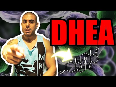 Vídeo: Diferença Entre DHEA E DHA