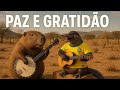 Paz e Gratidão! #paz #gratidão #forrotradicional #sanfona #acordeon #grato #peace