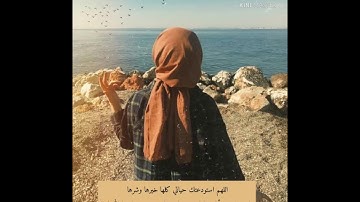 حالات وتس اب قرآن كريم بصوت //حسام الدين عبادي//🍁"