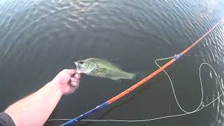 Fly Fishing full evening pond 1. Join me fly fishing have a good time.