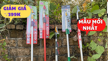 Báo giá 5 mẫu kéo cắt cành trên cao ( kéo chuyên hái quả ko rơi vỡ ) kéo cắt cành Nhật + Đài
