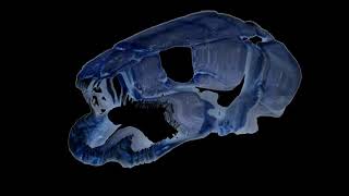 Choupique Smackdown Part Trois