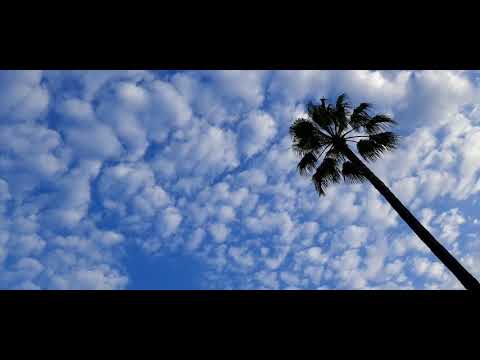 altocumulus clouds
