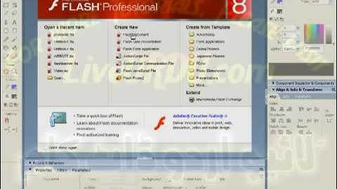 What are symbols - Flash Mx 8 tutorial in urdu  - Lesson 5