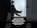 🤖 INSANE! This robot learns ANY skill just by watching YouTube! #humanoid #robot #skildai #ai