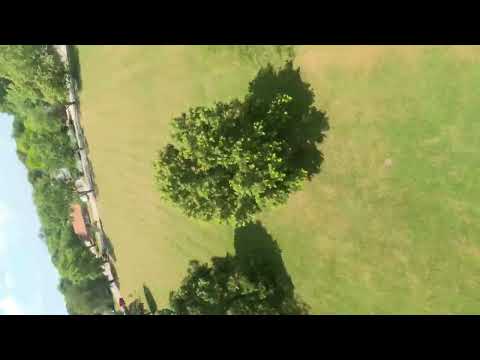 Grants flight