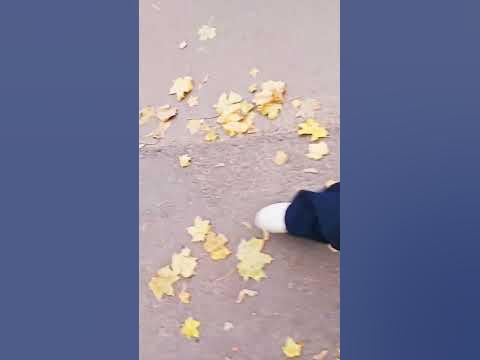 путь домои́🎃🌿🌱🌸🗯️ - YouTube