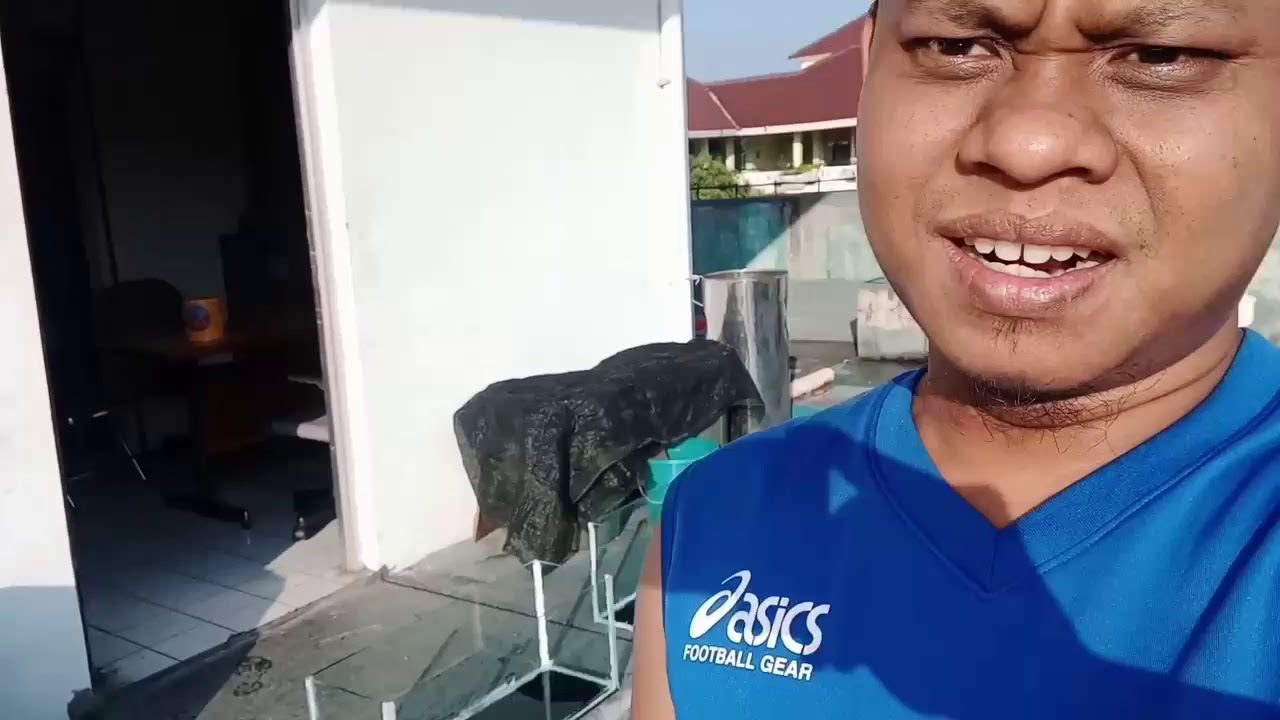 Budidaya Lele Ember. 