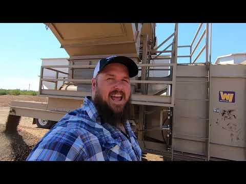 Almond Rock Sorting Machinery with California Farmer