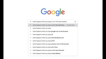 What happens when you type google.com in browser?