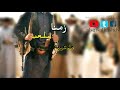 شيله لالالا تهدد بالمفارق تصميم الصقر الحاشدي عبدالكريم الجرافي نجومي