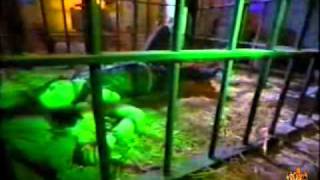 Gilby Clarke feat Slash - Tijuana jail (By LiguiMuratalla)