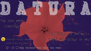 What Happens When You Take the Scariest Drug in the World