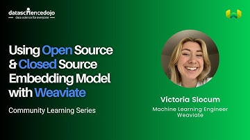 Using Open Source & Closed Source Embedding Model with Weaviate