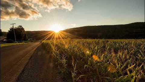سورة البقرة بصوت القارئ رياض الجزائري