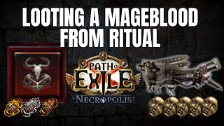 POE 3.24  MAGEBLOOD from Ritual  Easy Currency with NEW Scarabs   Path of Exile Necropolis