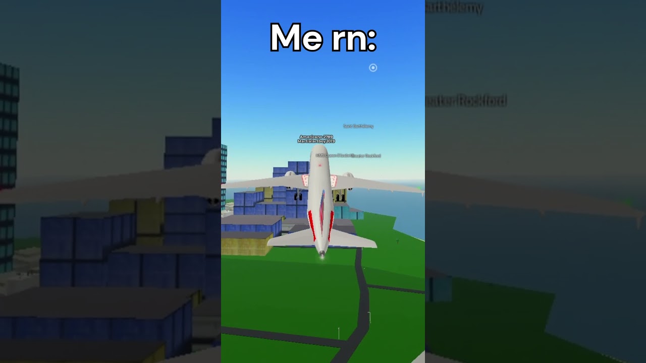 I'm Gonna Fly Some Planes