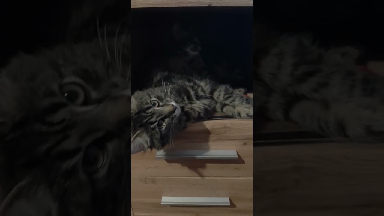 Ob das tatsächlich gemütlich ist?