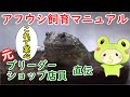 アフリカウシガエルの飼育環境・飼育方法について