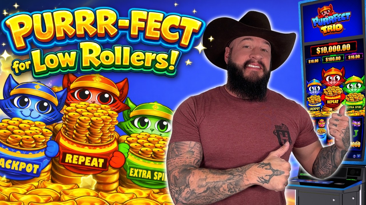 A Purrrfect slot for LOW ROLLERS! 🤩