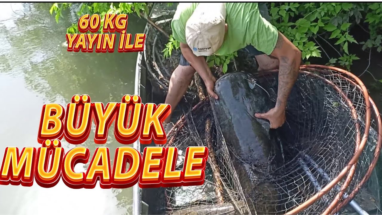 50 Кг САРДИРГАН КАМЕРА ОХОТА - РЫБАЛКА - ОХОТА НА КАРПА - РЫБАЛКА НА СПРАС