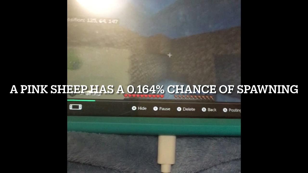 The rarest animal in minecraft YouTube