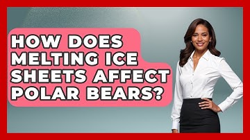 How Does Melting Ice Sheets Affect Polar Bears? - Weather Watchdog