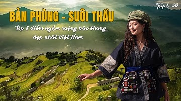 Khám phá TOP 5 điểm có ruộng bậc thang Đẹp Nhất Việt Nam - BẢN PHÙNG, SUÔI THẦU... #1