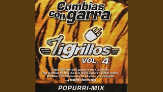 Video thumbnail of "Los Tigrillos - Concha Conchita"