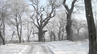 Struggle Against Time - original piano improvisation