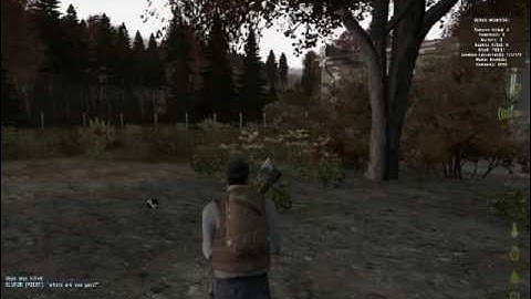 DayZ: I Really Hate the Visual Bugs