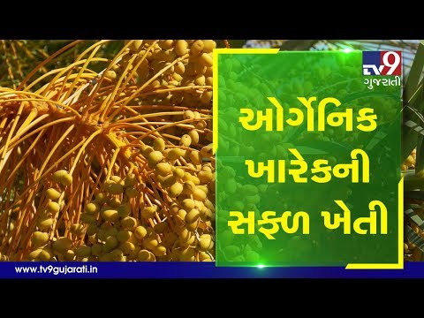 Doctor turns farmers, strikes gold through organic farming | Tv9Dhartiputra