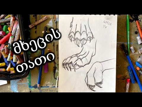 ლომის თათი მარტივად