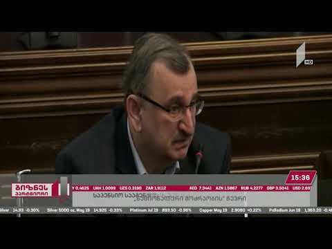 საპენსიო სააგენტოს დირექტორი დარგობრივი ეკონომიკის კომიტეტზე